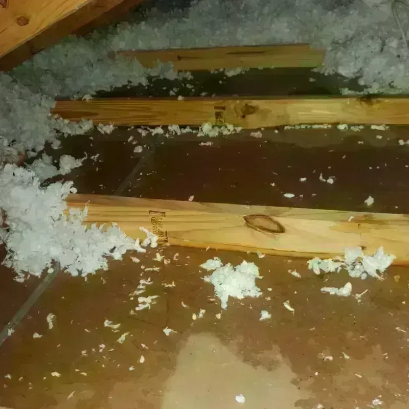 Attic Water Damage in Henry, IL