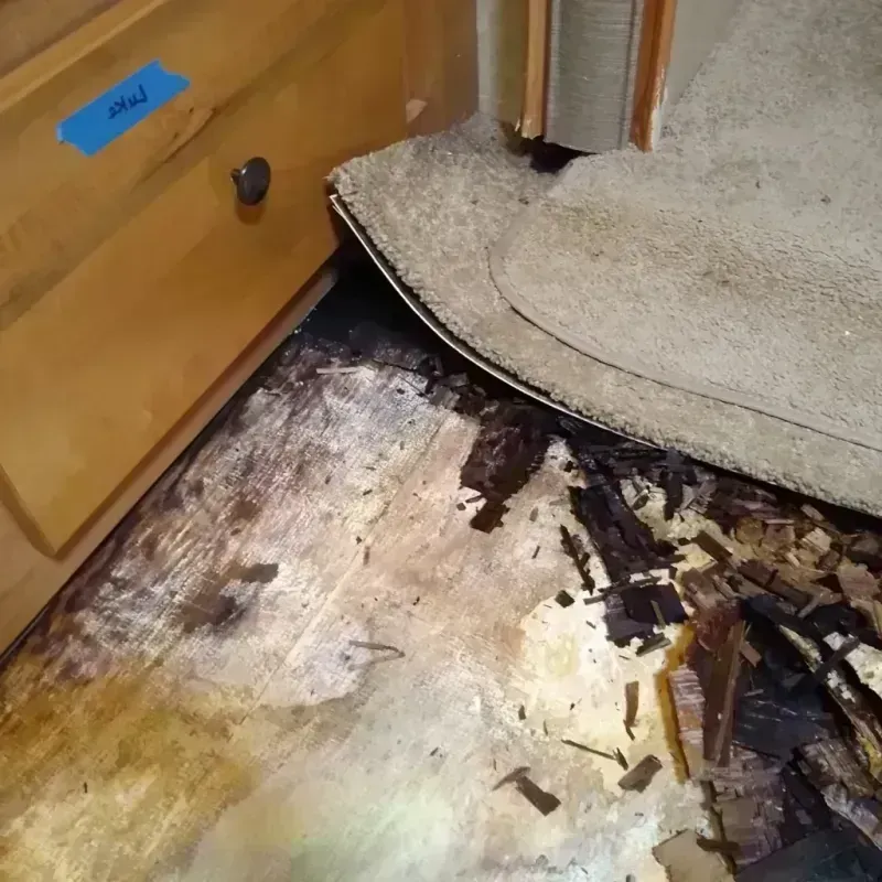 Wood Floor Water Damage in Henry, IL